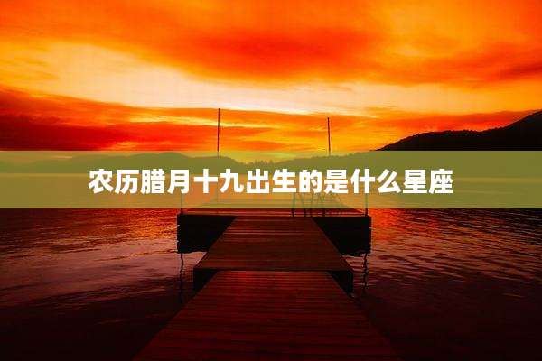 农历腊月十九出生的是什么星座