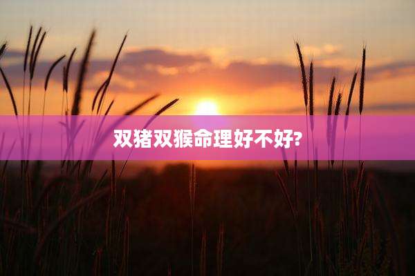 双猪双猴命理好不好?