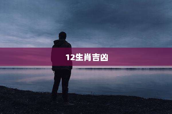 12生肖吉凶