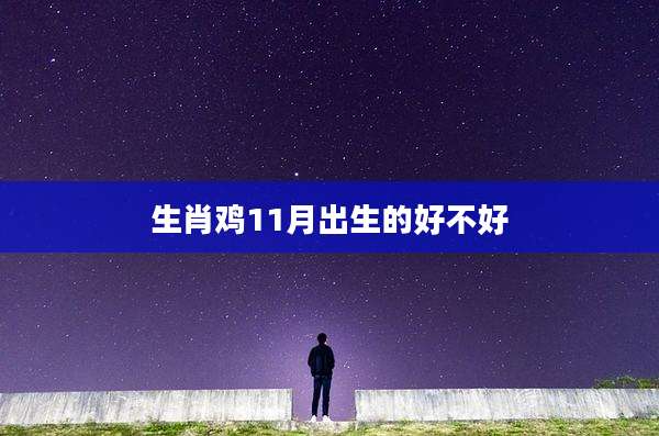 生肖鸡11月出生的好不好