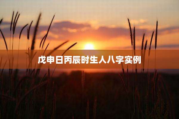 戊申日丙辰时生人八字实例