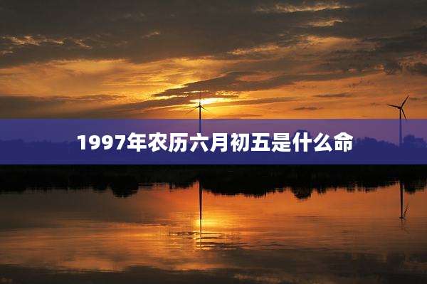 1997年农历六月初五是什么命