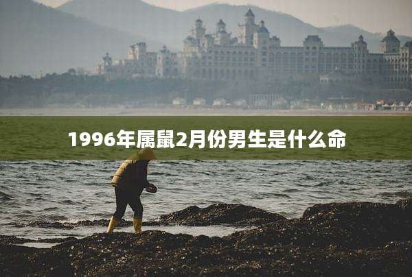 1996年属鼠2月份男生是什么命