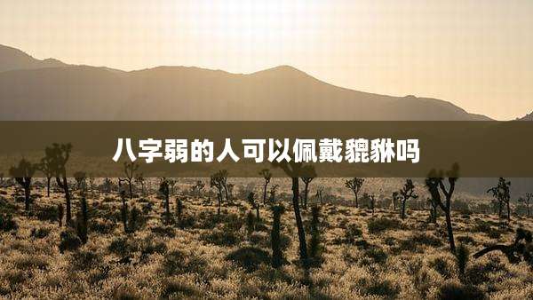 八字弱的人可以佩戴貔貅吗
