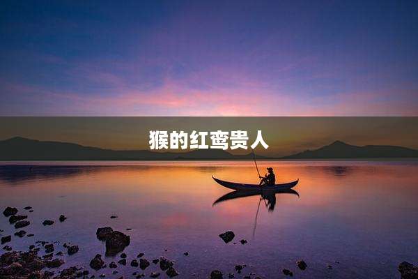 猴的红鸾贵人