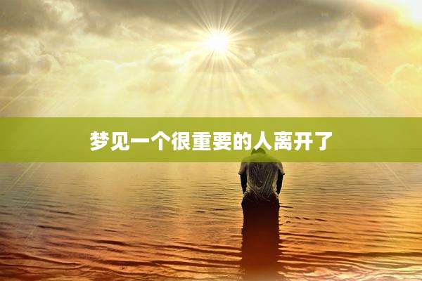 梦见一个很重要的人离开了