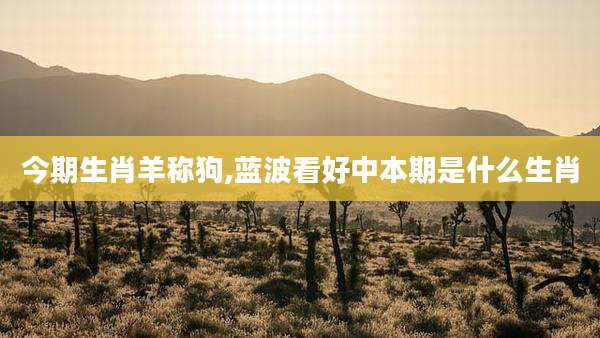 今期生肖羊称狗,蓝波看好中本期是什么生肖