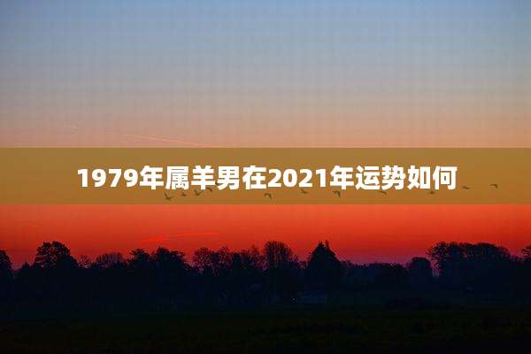 1979年属羊男在2021年运势如何