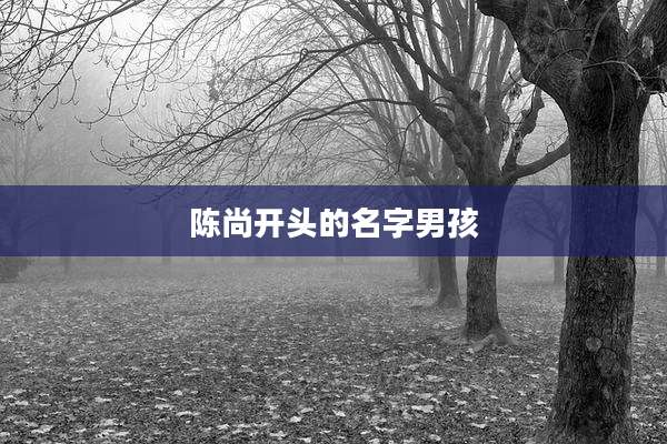 陈尚开头的名字男孩