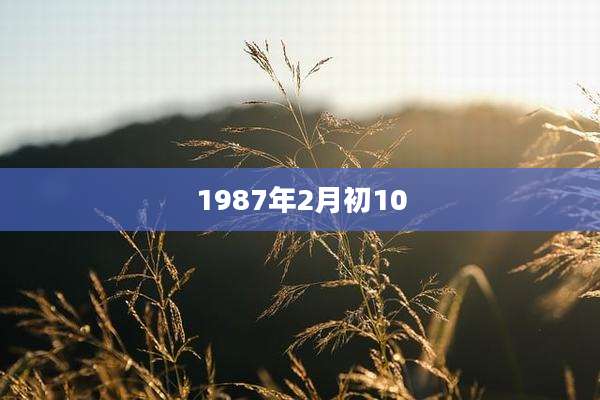 1987年2月初10