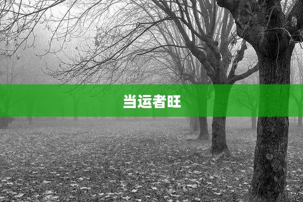 当运者旺