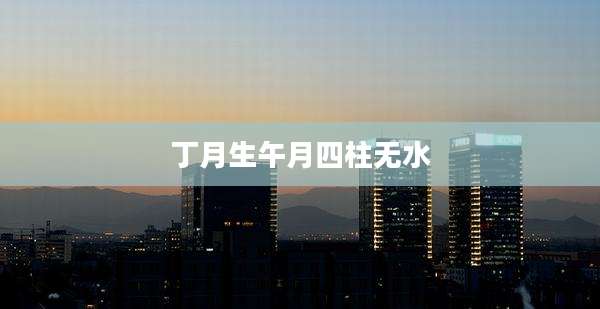 丁月生午月四柱无水