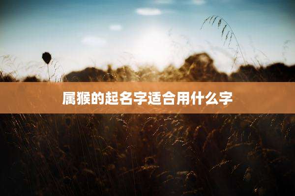 属猴的起名字适合用什么字