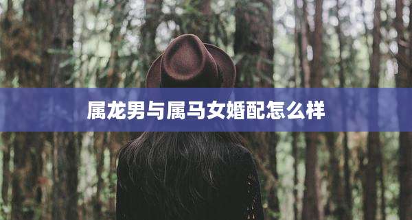 属龙男与属马女婚配怎么样