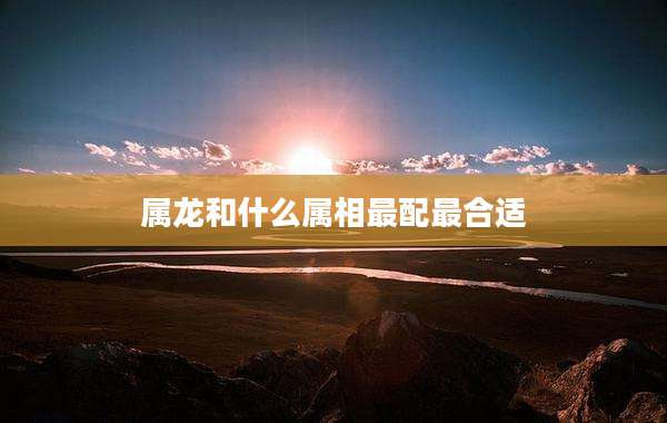 属龙和什么属相最配最合适