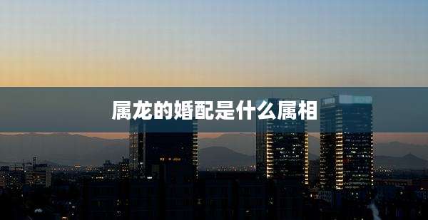 属龙的婚配是什么属相