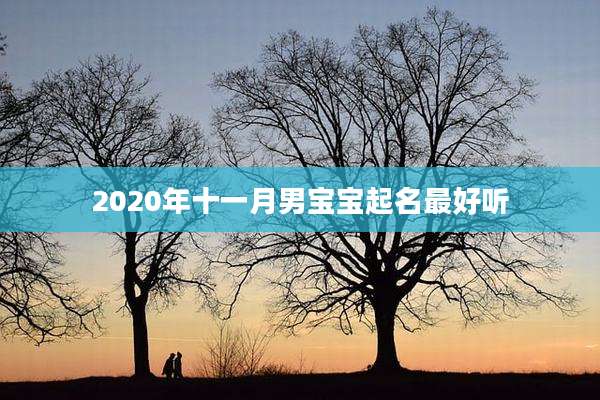 2020年十一月男宝宝起名最好听