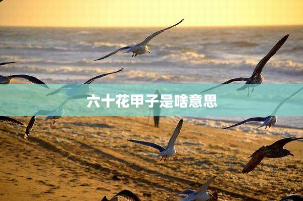 六十花甲子是啥意思