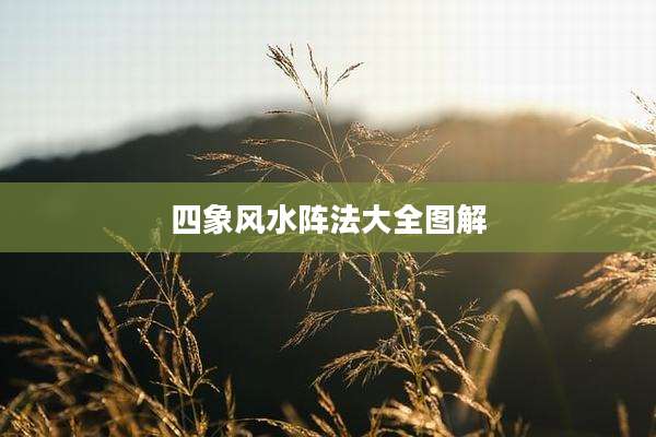 四象风水阵法大全图解