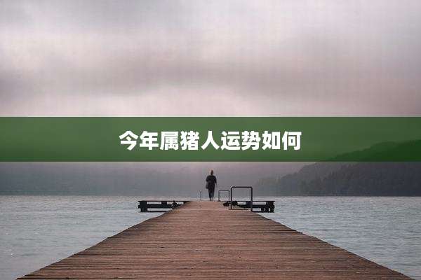 今年属猪人运势如何