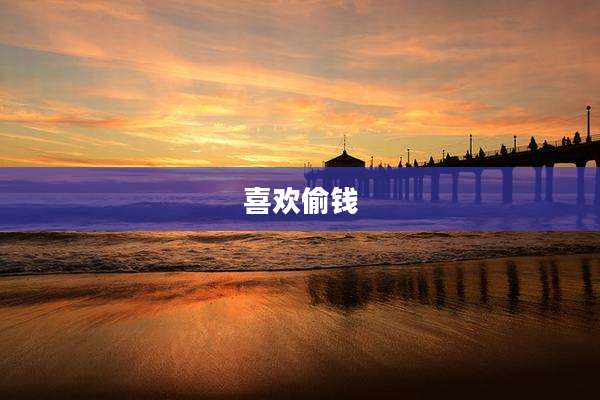 喜欢偷钱