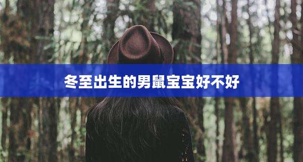 冬至出生的男鼠宝宝好不好