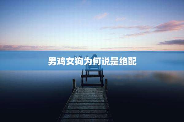男鸡女狗为何说是绝配