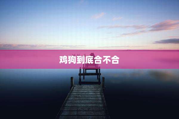 鸡狗到底合不合