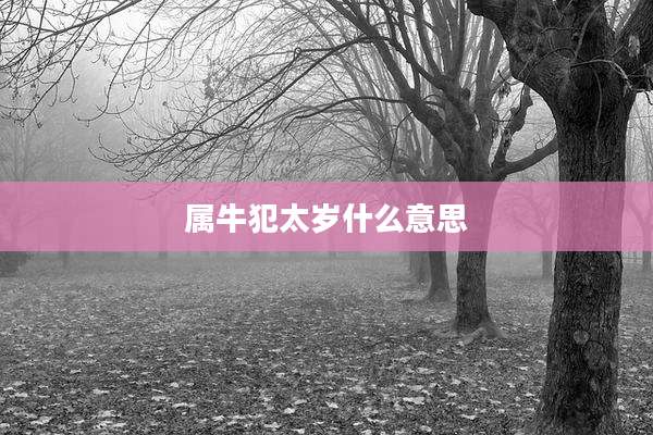 属牛犯太岁什么意思