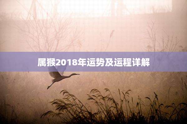 属猴2018年运势及运程详解