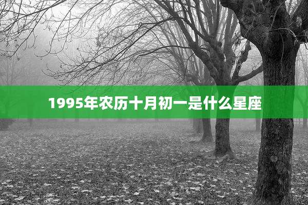 1995年农历十月初一是什么星座