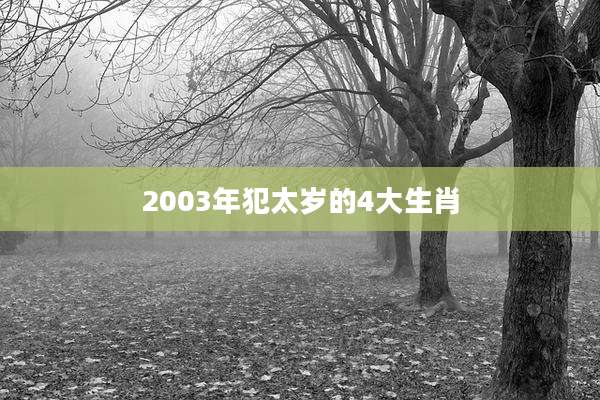 2003年犯太岁的4大生肖