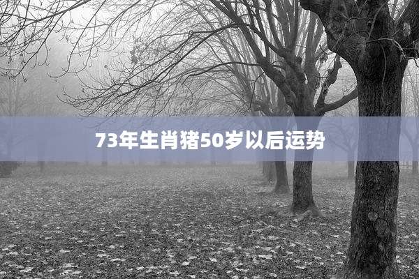 73年生肖猪50岁以后运势