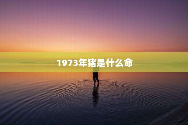 1973年猪是什么命