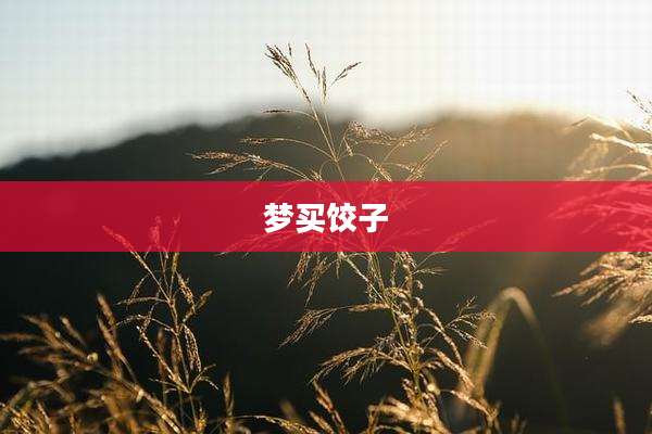 梦买饺子