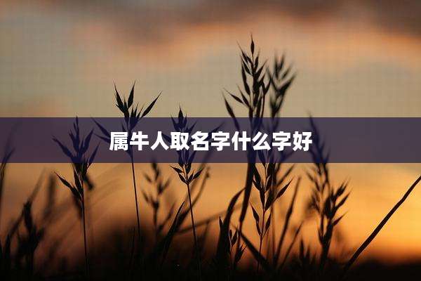 属牛人取名字什么字好
