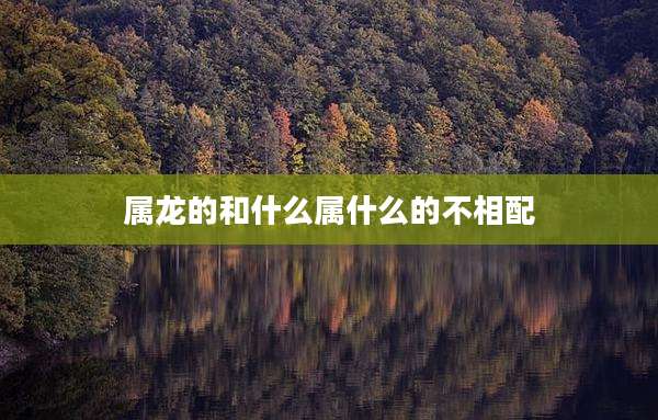 属龙的和什么属什么的不相配