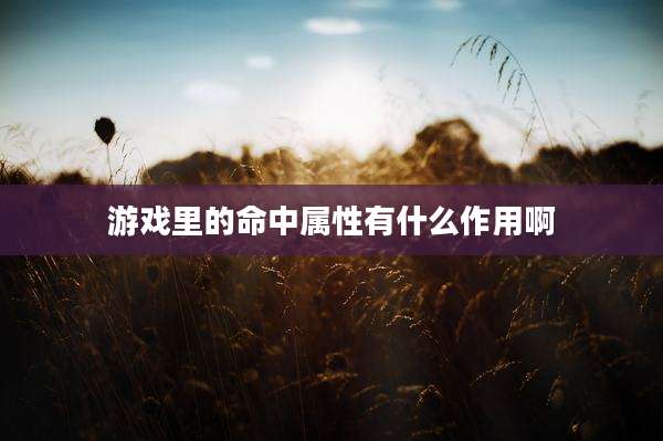 游戏里的命中属性有什么作用啊