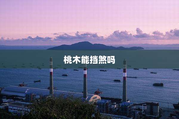 桃木能挡煞吗