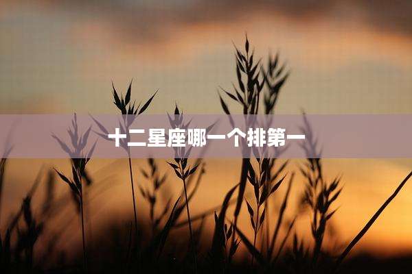 十二星座哪一个排第一