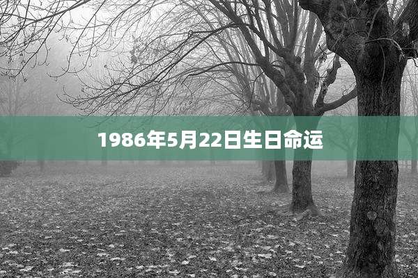 1986年5月22日生日命运
