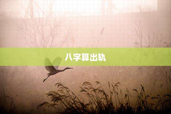 八字算出轨
