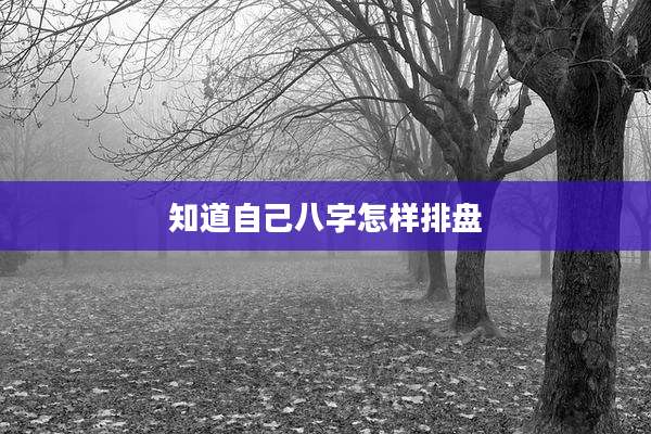 知道自己八字怎样排盘