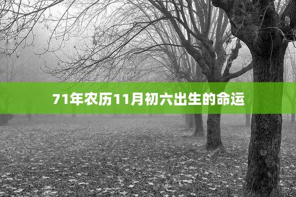 71年农历11月初六出生的命运