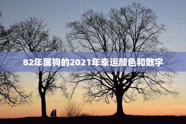 82年属狗的2021年幸运颜色和数字