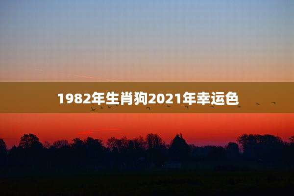 1982年生肖狗2021年幸运色