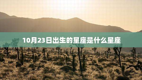 10月23日出生的星座是什么星座