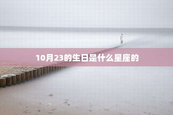10月23的生日是什么星座的