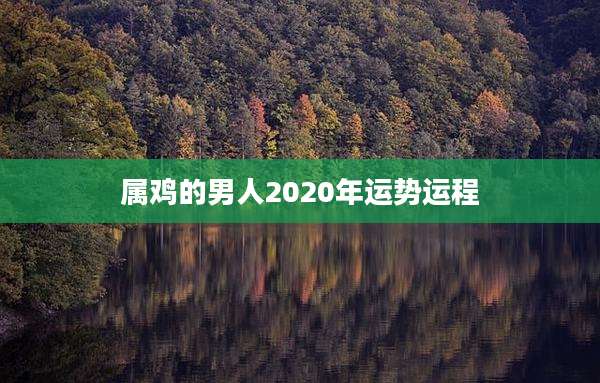 属鸡的男人2020年运势运程