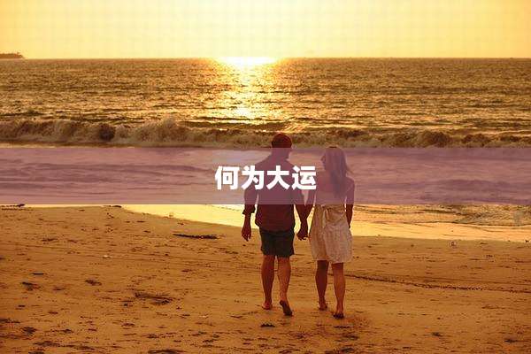 何为大运